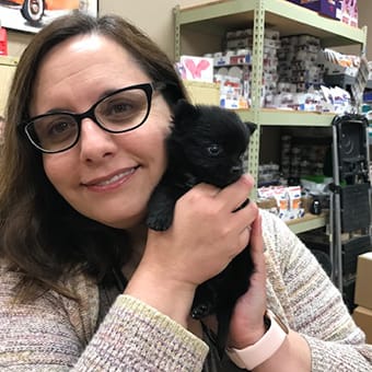 Dr. Erin Sanders, Palmdale Veterinarian